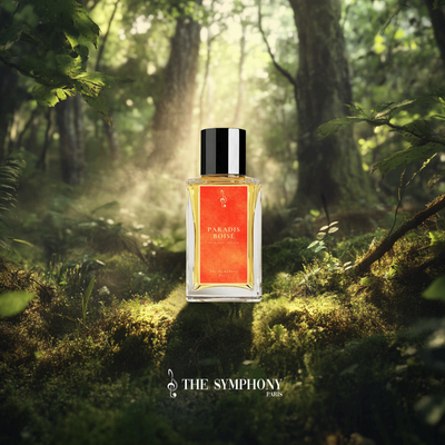 Flacon Paradis Boisé - extrait de parfum niche français oriental ambré The Symphony Paris
