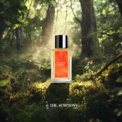 PARADIS BOISÉ - 55ML